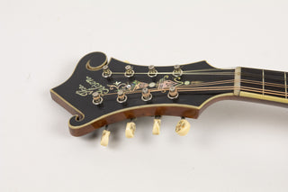 1917 Gibson F-4 mandolin - Martin Barre Collection