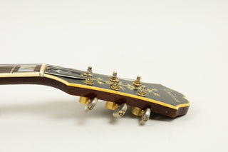 1967 Epiphone E-212T Sheraton, Cherry