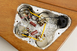 1976 Gibson Bicentennial Firebird, Natural