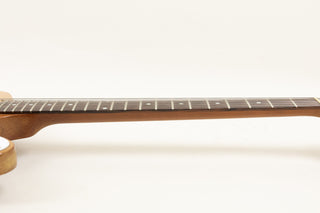 1976 Gibson Bicentennial Firebird, Natural