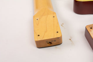 1985 Tokai Breezysound TTE60 TM