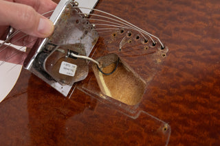 1985 Tokai Breezysound TTE60 TM