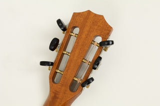 2018 Taylor 812CE - ex Martin Barre