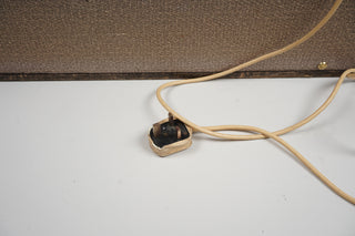 1961 Vox AC-30/4 Fawn