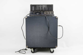 1966 Ampeg B-15N