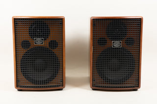 Schertler Jam 150 Acoustic Amp and Ext. Cab - ex-Martin Barre