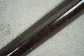 1930s Regal Model 27, The Michigan branded resonator