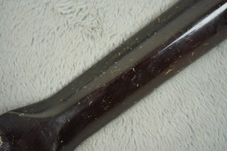 1930s Regal Model 27, The Michigan branded resonator