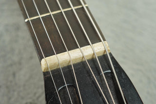 1930s Regal Model 27, The Michigan branded resonator