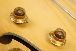 1958 Gibson ES-225 TDN