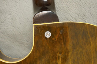 Epiphone Sorrento, PAF Mini-Humbucker