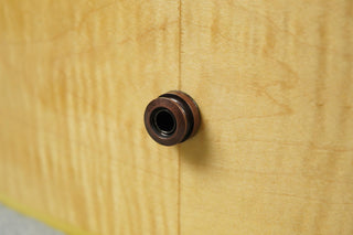 2021 Epiphone Frontier FT-110