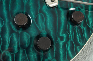 2009 PRS Private Stock Custom 24, Teal Black