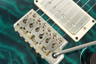 2009 PRS Private Stock Custom 24, Teal Black