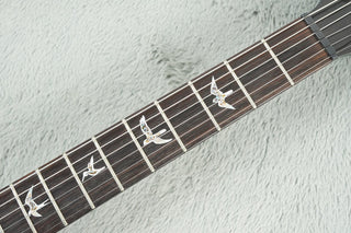 2009 PRS Private Stock Custom 24, Teal Black