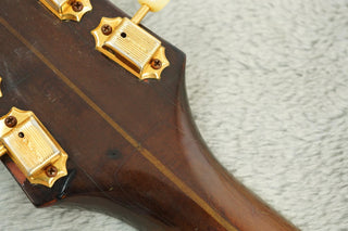 Guild Aristocrat, Blonde