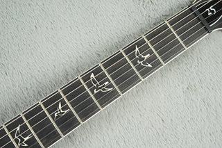 2010 PRS 25th Anniversary DGT Limited Edition #24/25