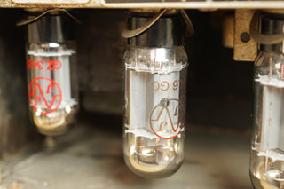 Fender Tremolux Head "Mean Fiddler" + 2 Cabs