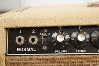 Fender Tremolux Head + Cab