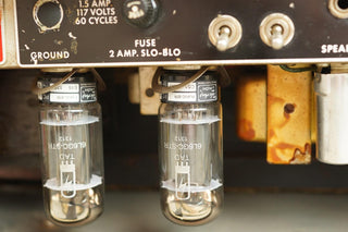 Fender Tremolux Head + Cab