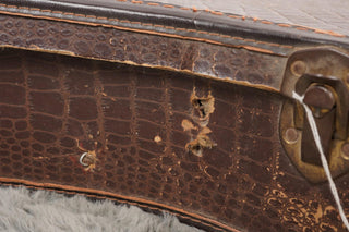 1959 Gibson Les Paul Junior, Cherry