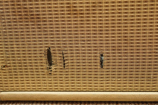 Fender Tremolux Head + Cab