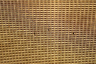 Fender Tremolux Head + Cab