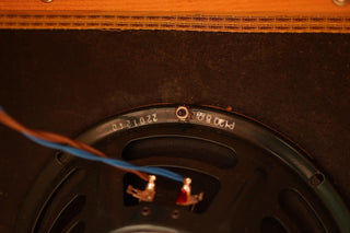 Fender Tremolux Head + Cab