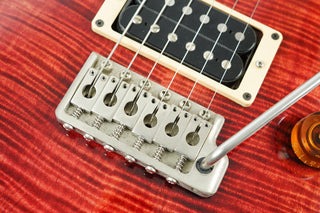 1987 PRS Signature Series #155, Tortoise Shell