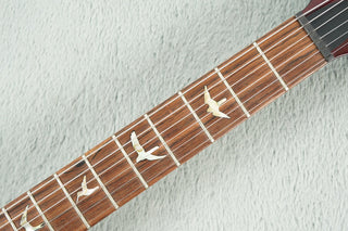 1987 PRS Signature Series #155, Tortoise Shell