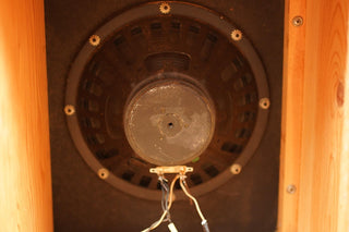 Fender Tremolux Head "Mean Fiddler" + 2 Cabs