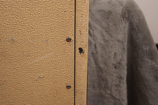 Fender Tremolux Head "Mean Fiddler" + 2 Cabs