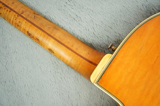 1967 Guild Duane Eddy DE-500 + OHSC