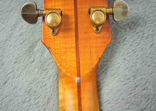 1967 Guild Duane Eddy DE-500 + OHSC