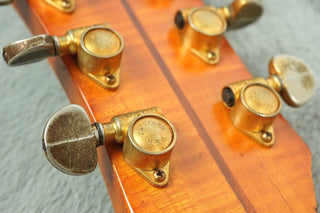 1967 Guild Duane Eddy DE-500 + OHSC