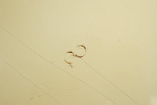 1965 Gibson SG Junior, Polaris White