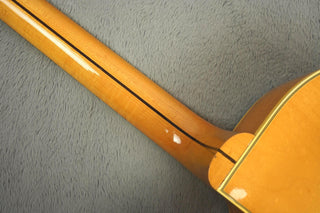 1959 Gibson ES-5 Switchmaster PAF's