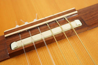 1989 Gibson Chet Atkins CE