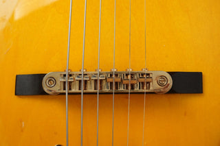 Ibanez Pat Methney