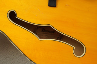 Ibanez Pat Methney