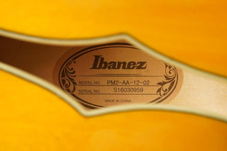 Ibanez Pat Methney