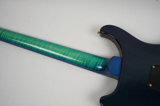 2011 PRS Tree of Life Custom L4 Limited Edition