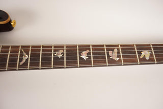 2009 Private Stock PRS DGT