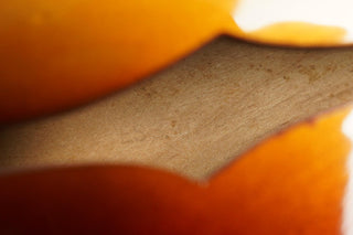 1960 Gibson ES-330 TD