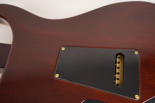 2009 Private Stock PRS DGT