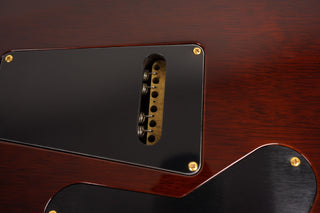 2009 Private Stock PRS DGT