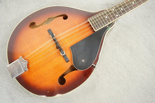 1992 Washburn Mandolin