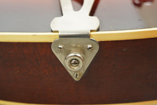 1964 Levin 335 - Sunburst | Ace - Skunk Anansie Collection