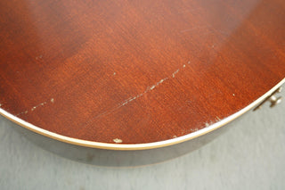 1964 Levin 335 - Sunburst | Ace - Skunk Anansie Collection