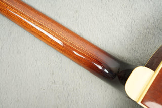 1964 Levin 335 - Sunburst | Ace - Skunk Anansie Collection